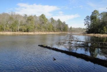 view-of-Norris-Pond-web-rez view-of-Norris-Pond-web-rez
