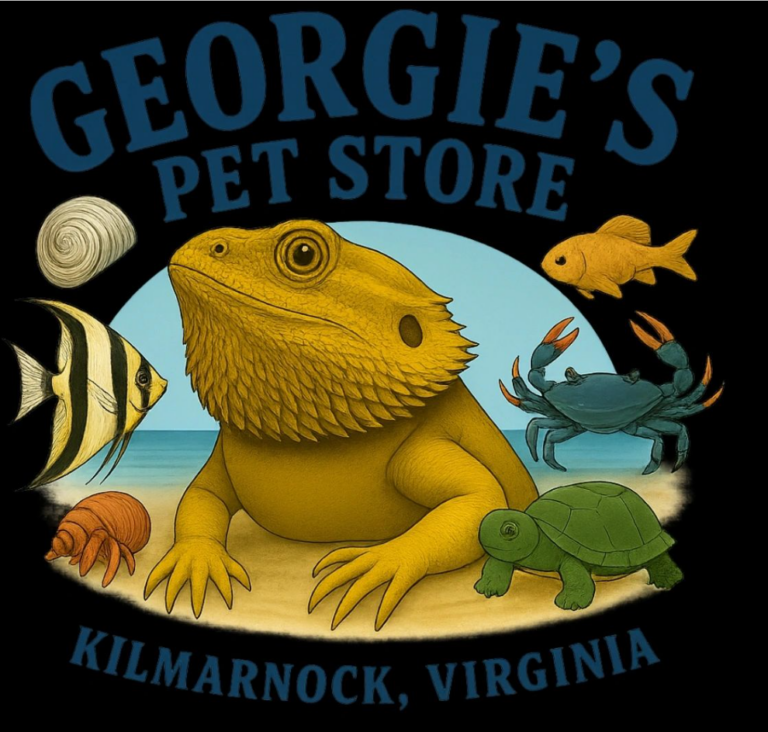 Georgies 1 768x732